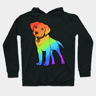 Labrador - Gay Pride! Hoodie